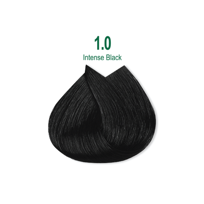 Naturalis Hair Color Cream Set – 1.0 – Intense Black-2